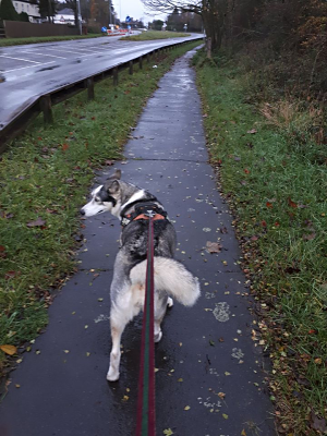 Striding out in Draycott